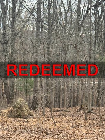 Image for Clarke County, VA Sale of Tax Delinquent Real Estate