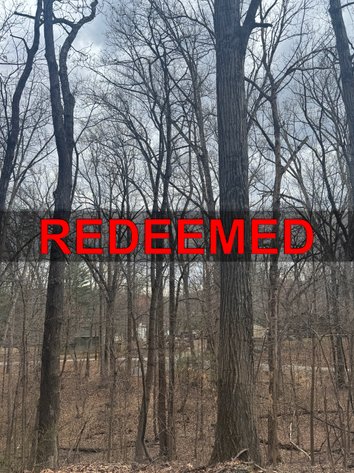 Image for Clarke County, VA Sale of Tax Delinquent Real Estate