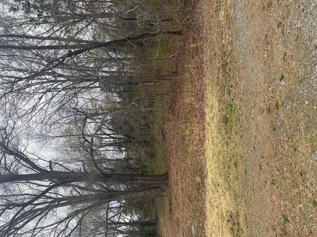 Image for Spotsylvania Tax Delinquent Sale