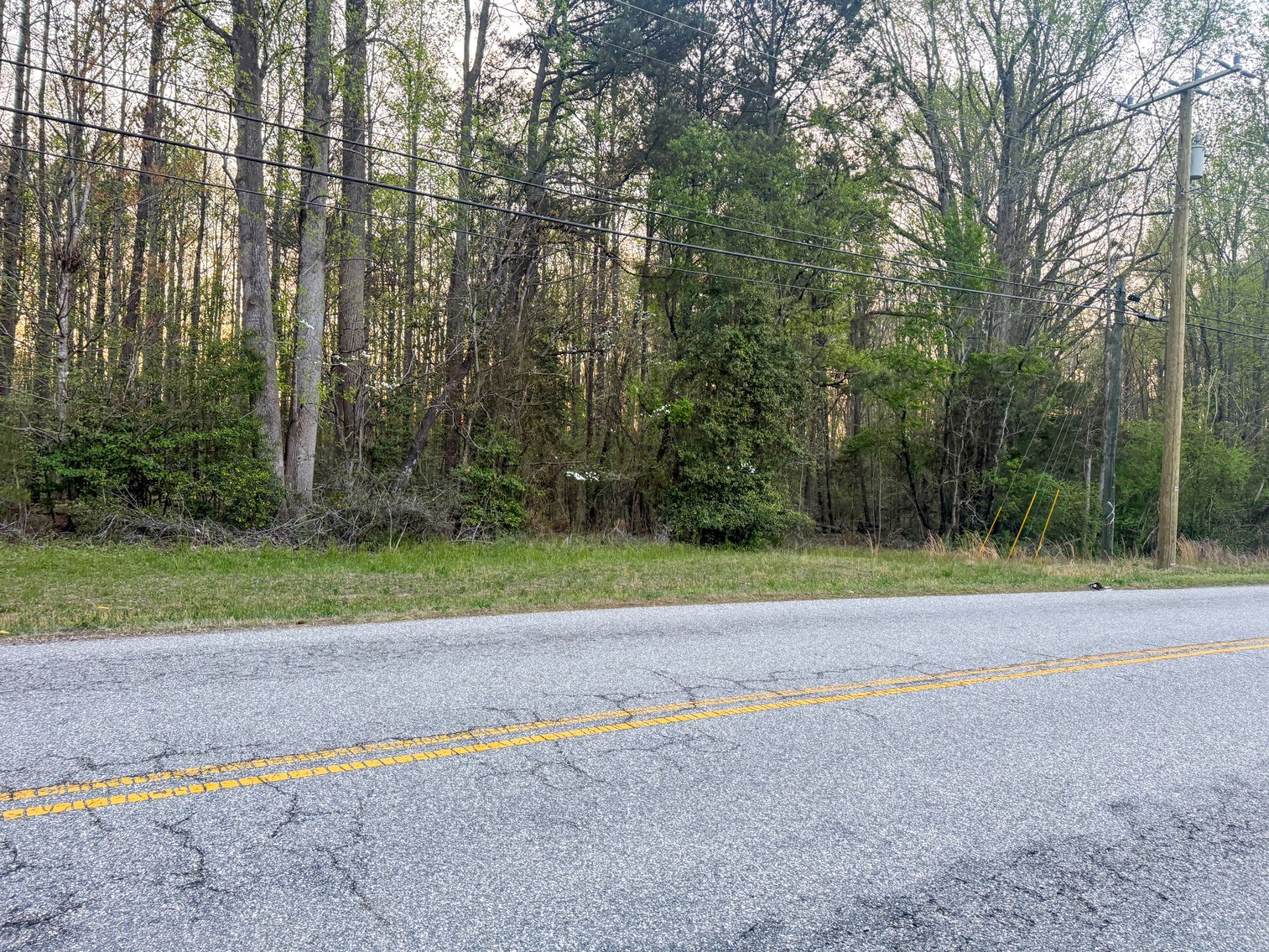 Image for James City County Tax Delinquent Sale