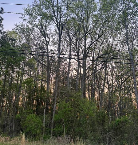 Image for James City County Tax Delinquent Sale