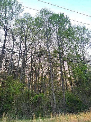 Image for James City County Tax Delinquent Sale