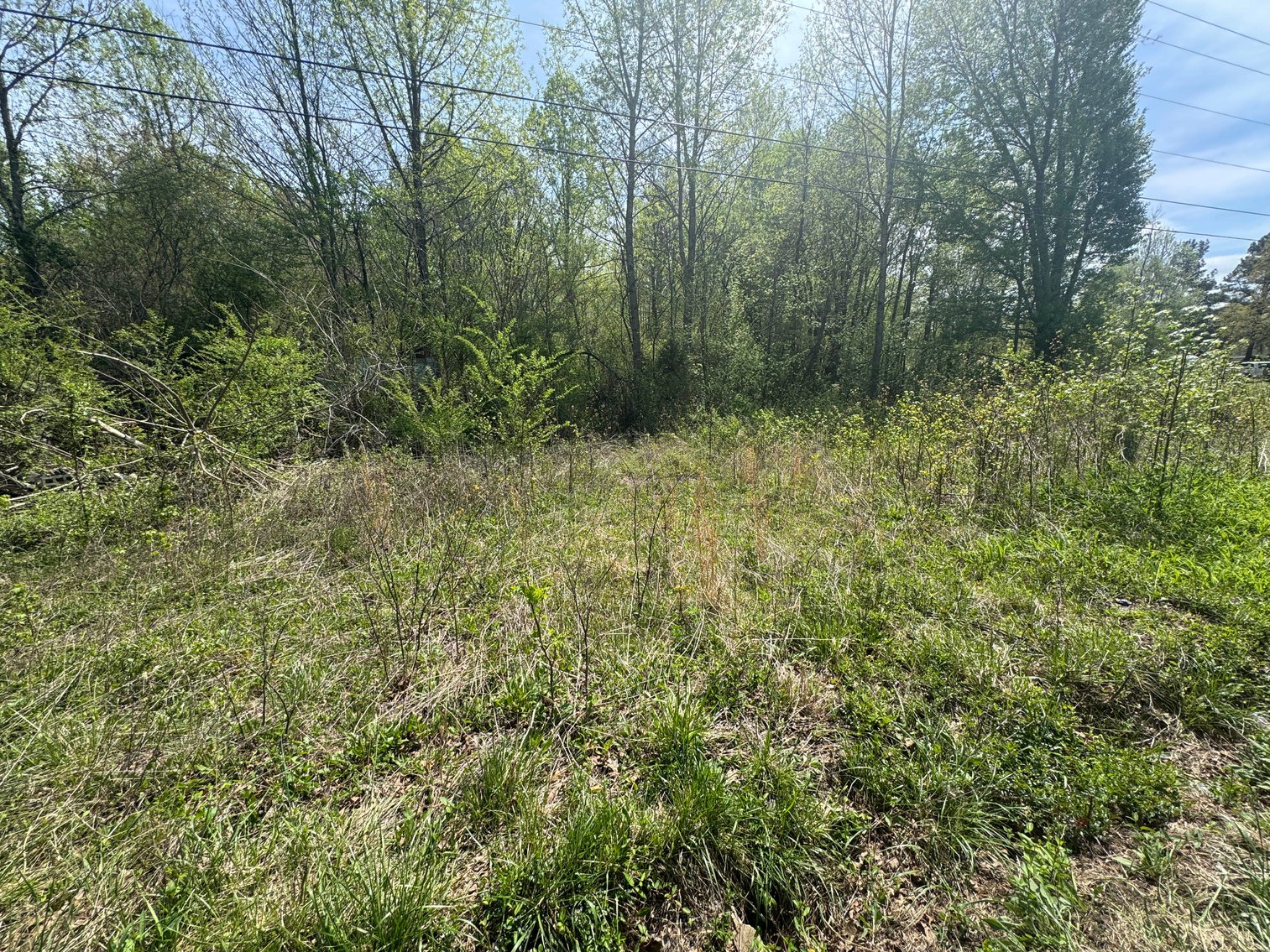 Image for Louisa County Tax Delinquent Sale