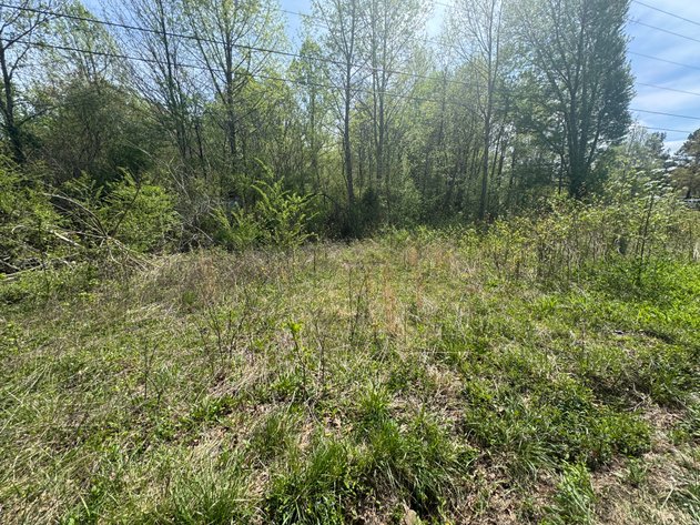 Image for Louisa County Tax Delinquent Sale