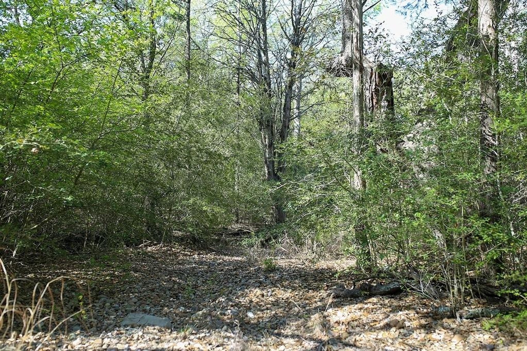 Image for Ullrich Rd Real Estate Auction