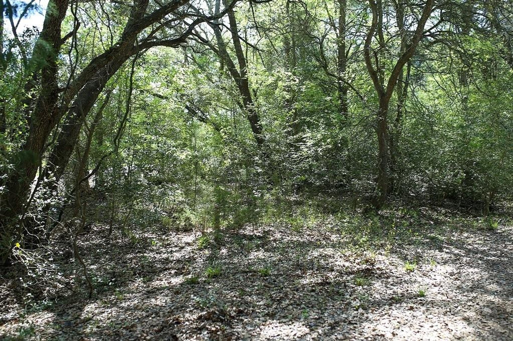 Image for Ullrich Rd Real Estate Auction