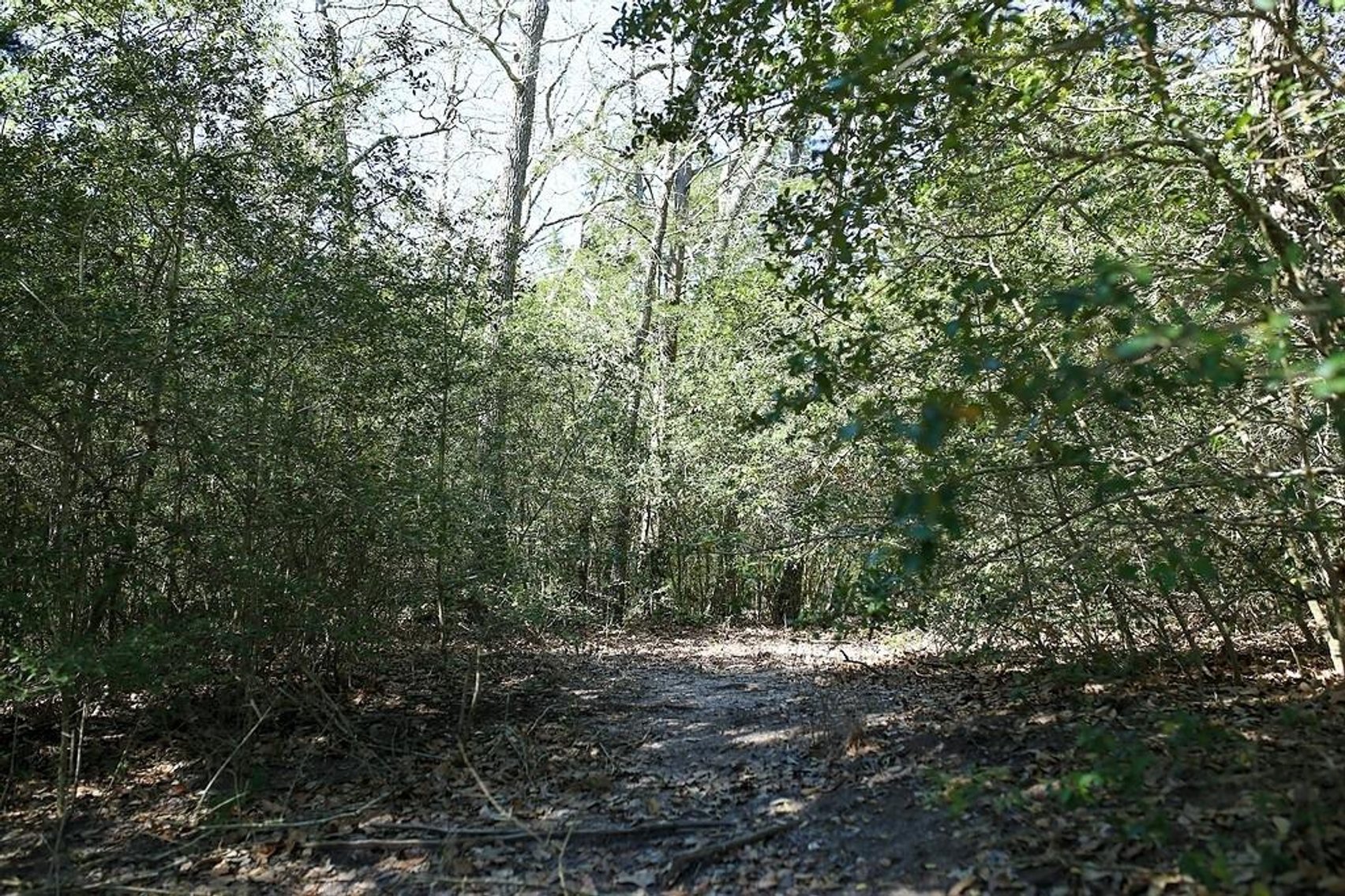 Image for Ullrich Rd Real Estate Auction