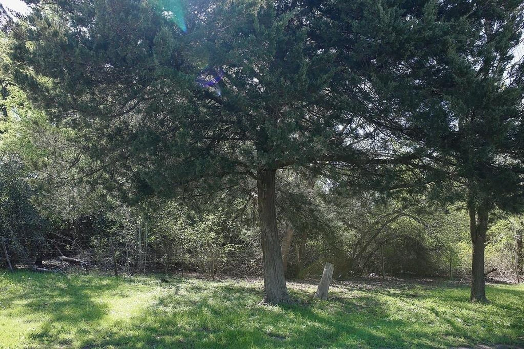 Image for Ullrich Rd Real Estate Auction