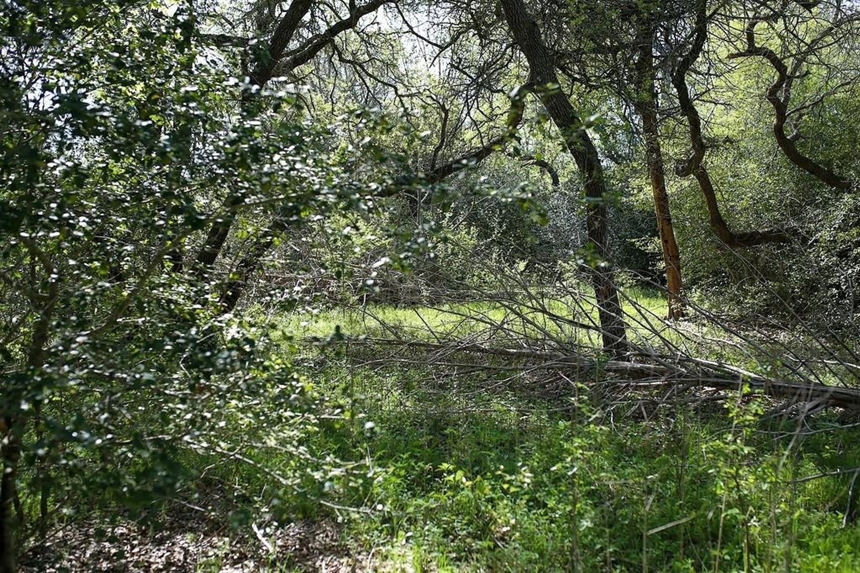 Image for Ullrich Rd Real Estate Auction