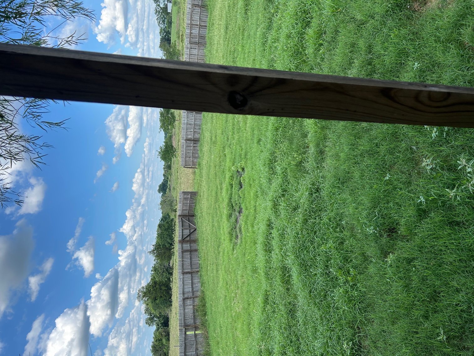 Image for West Point, Texas - Real Estate Auction