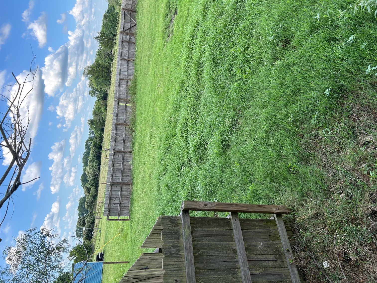 Image for West Point, Texas - Real Estate Auction