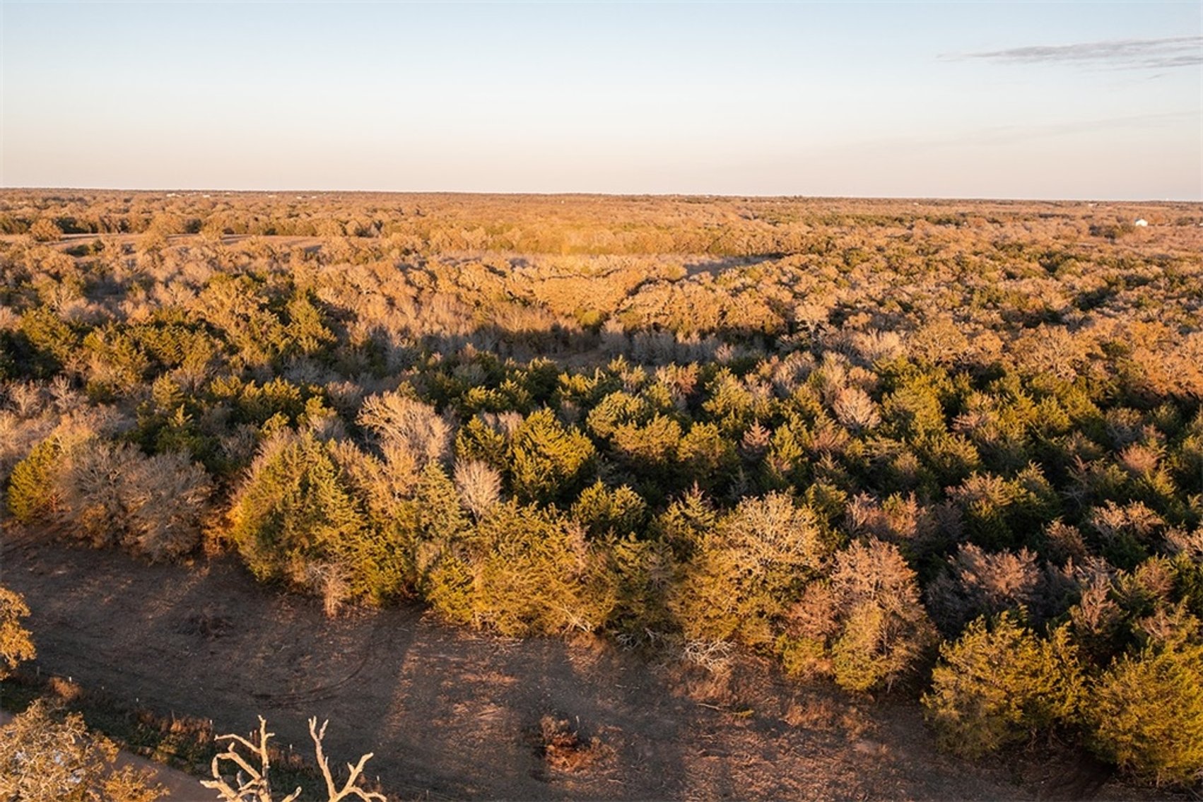 Image for 21 +- Acres, Grassyville, Paige, TX