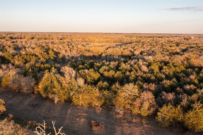 Image for 21 +- Acres, Grassyville, Paige, TX