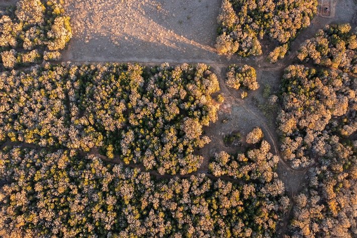 Image for 21 +- Acres, Grassyville, Paige, TX