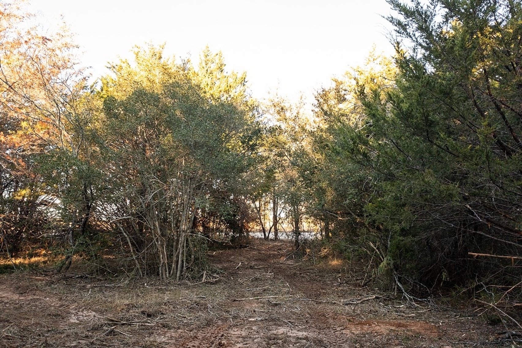 Image for 21 +- Acres, Grassyville, Paige, TX