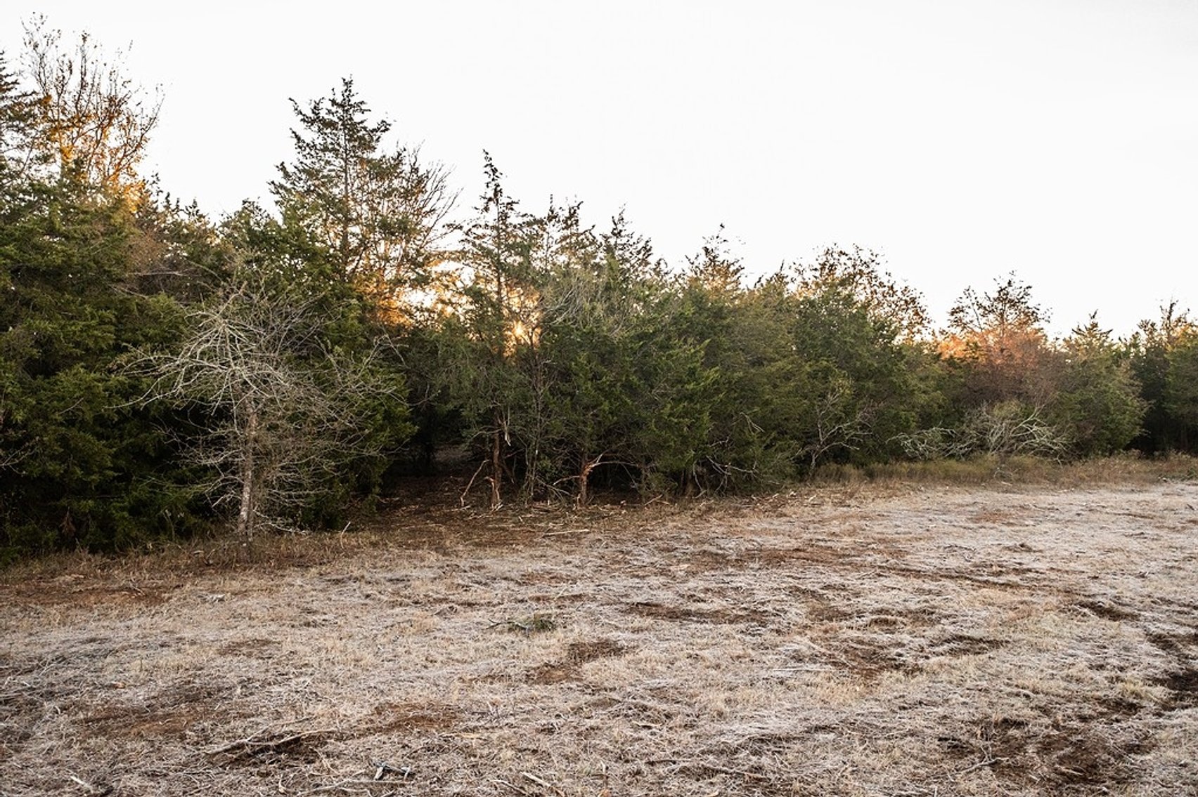 Image for 21 +- Acres, Grassyville, Paige, TX