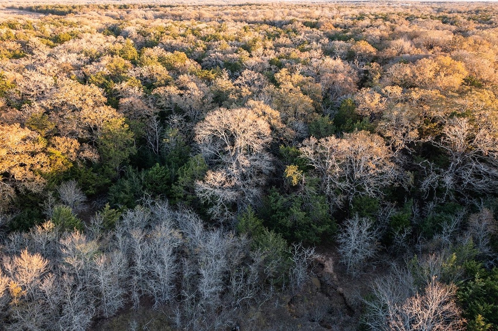 Image for 21 +- Acres, Grassyville, Paige, TX