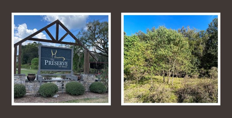 Image for Cypress Lakes Circle, Cleveland, TX Real Estate Online Auction
