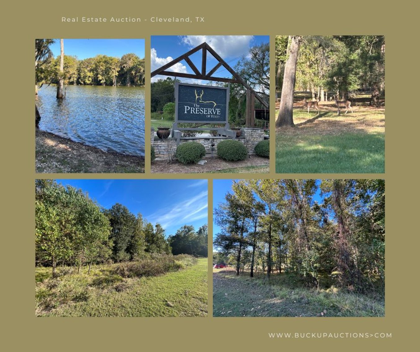 Image for Cypress Lakes Circle, Cleveland, TX Real Estate Online Auction