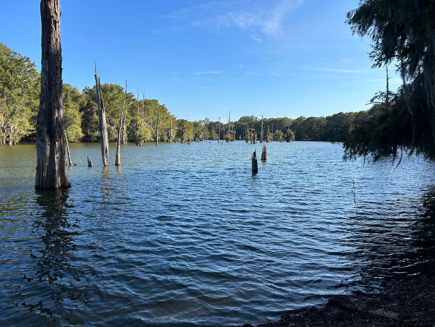 Image for Cypress Lakes Circle, Cleveland, TX Real Estate Online Auction