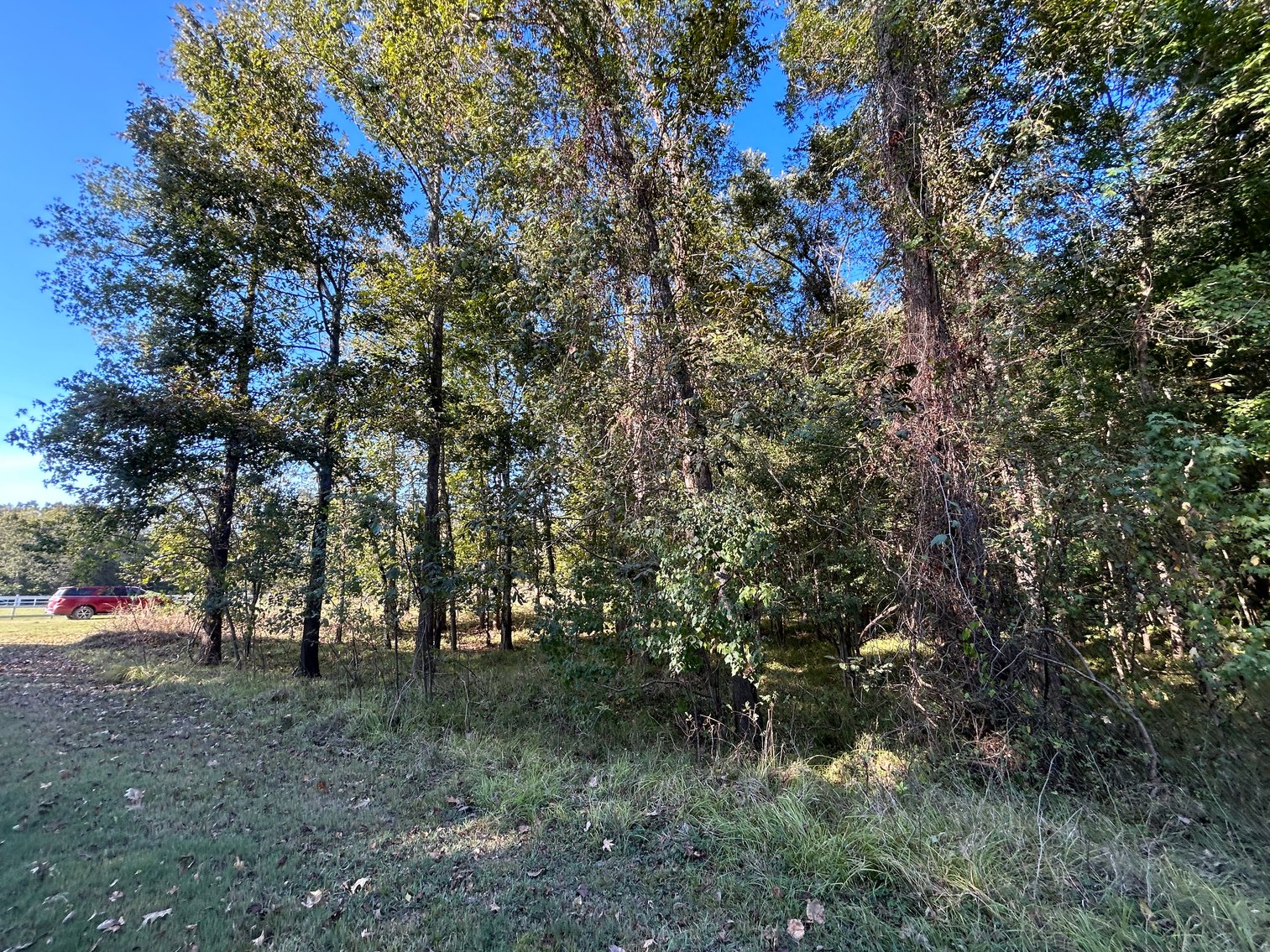 Image for Cypress Lakes Circle, Cleveland, TX Real Estate Online Auction