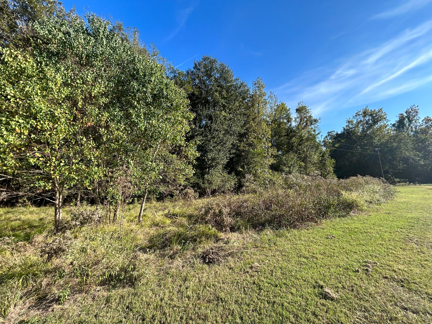 Image for Cypress Lakes Circle, Cleveland, TX Real Estate Online Auction