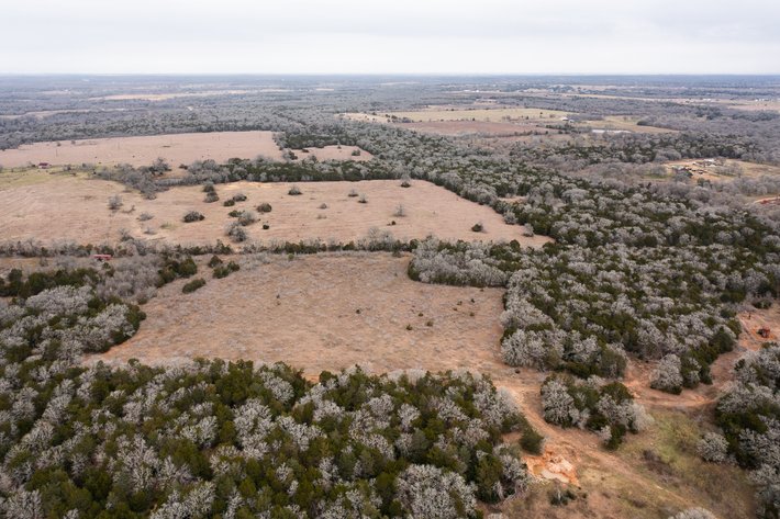 Image for 17 Acres - Grassyville Rd, Paige, TX