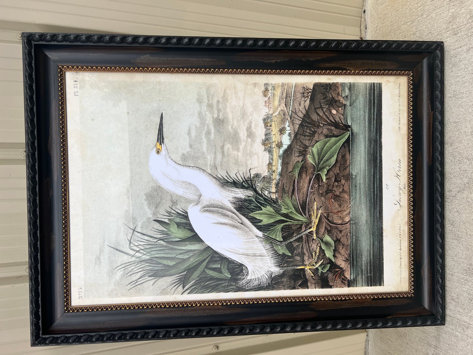 Image for December Gallery - Native American Artifacts, Collectibles, Furniture and More