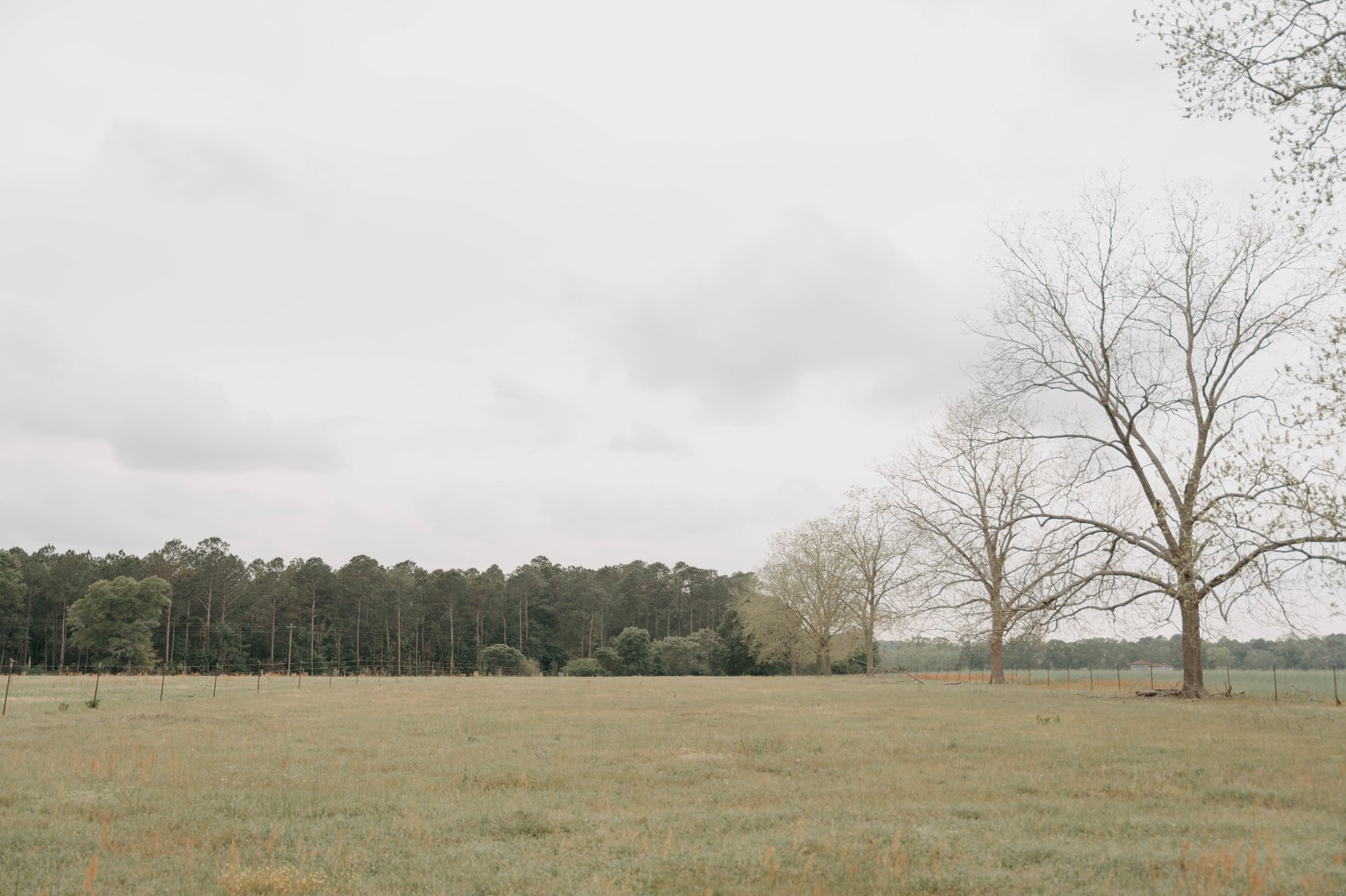 Image for The Jameson Estate - 11.5+/- Acres and Home in Thomas County