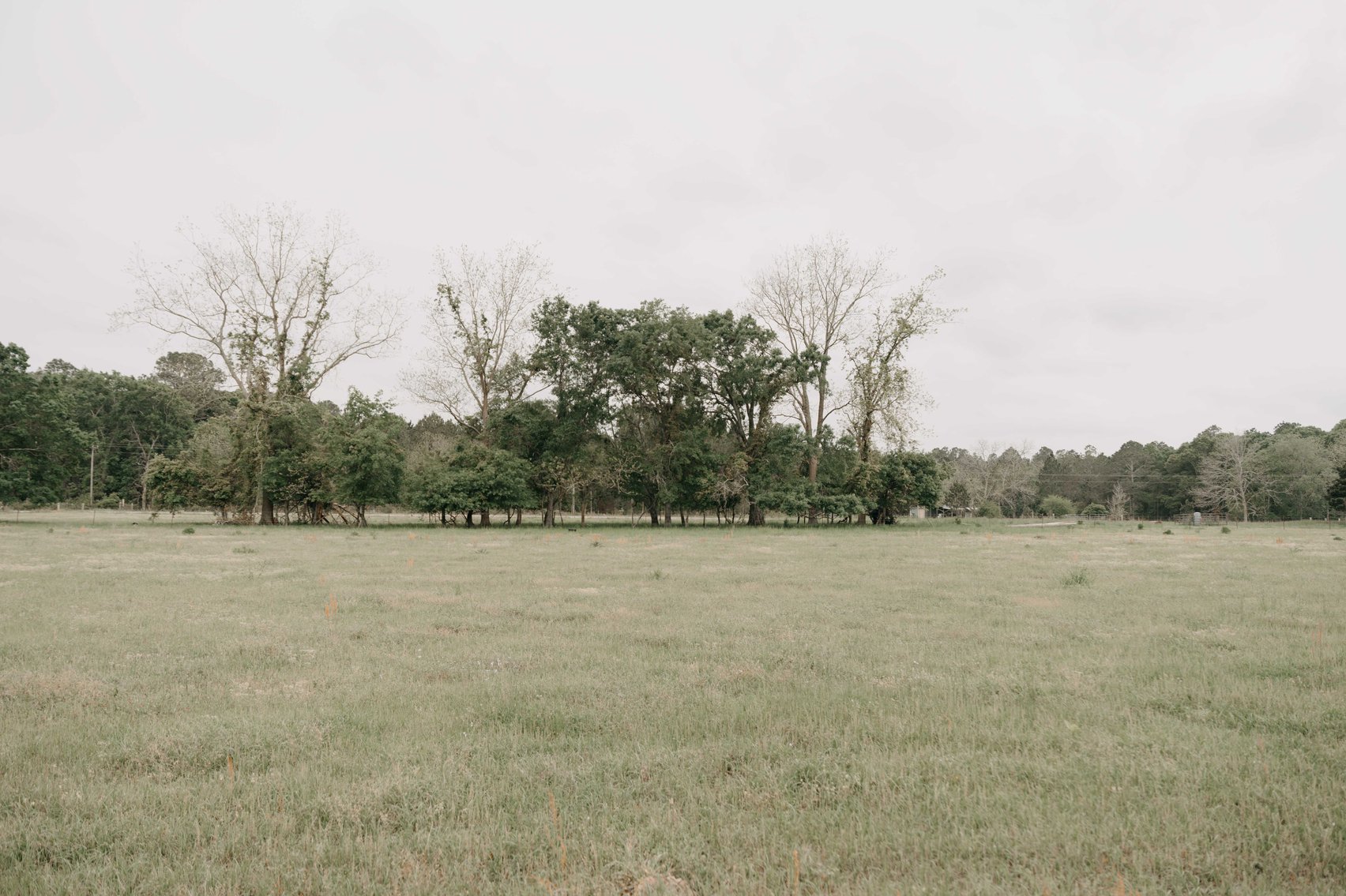 Image for The Jameson Estate - 11.5+/- Acres and Home in Thomas County