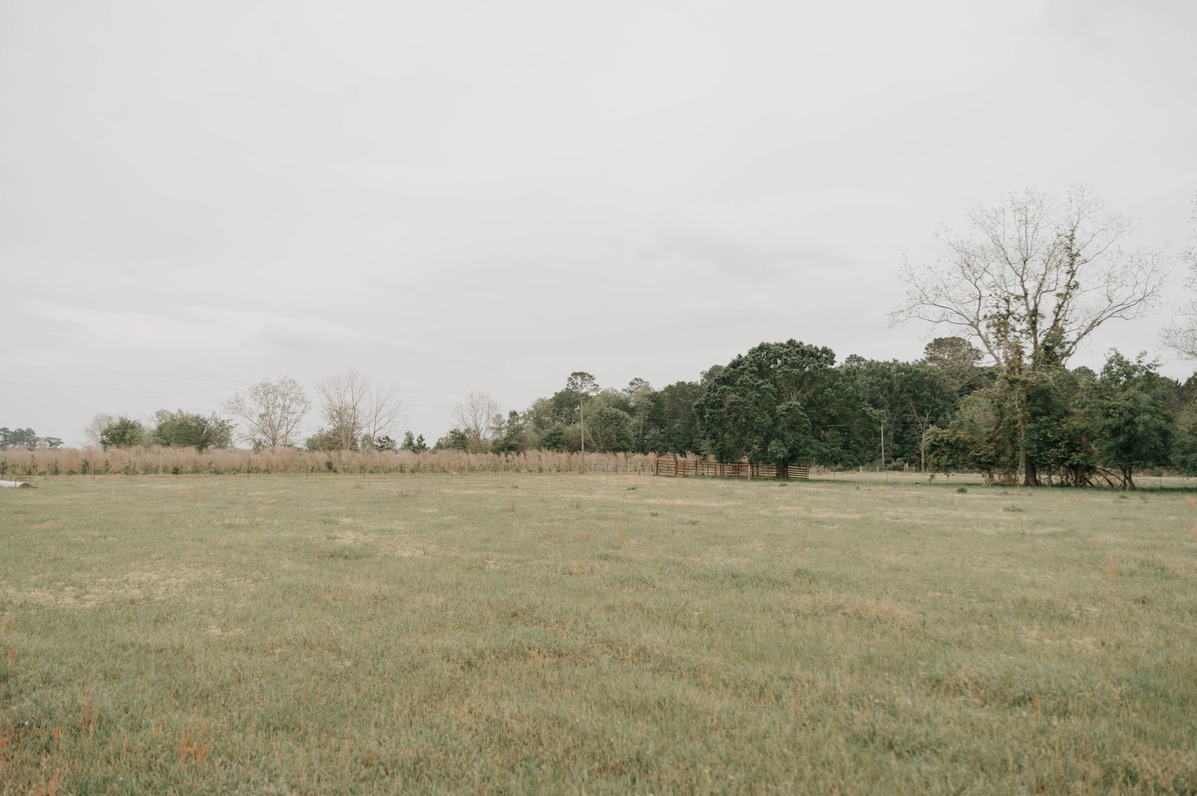 Image for The Jameson Estate - 11.5+/- Acres and Home in Thomas County