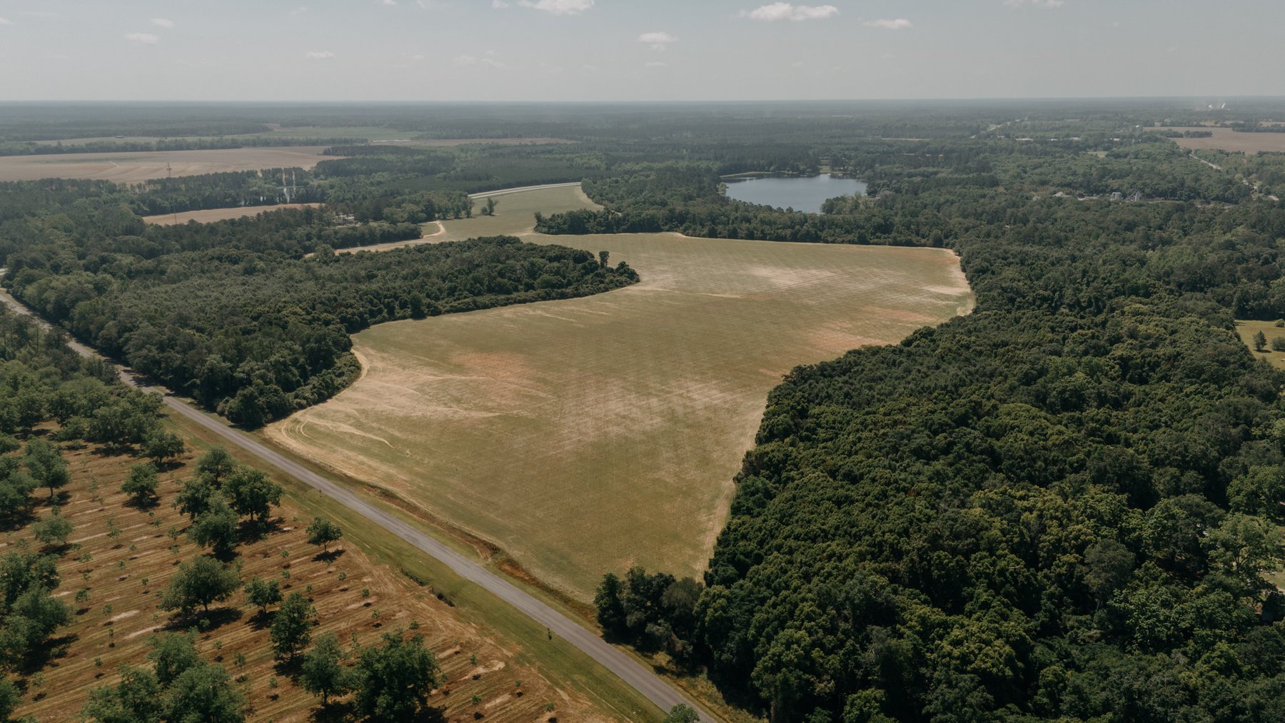 Image for 143 +/- Acre Investment Opportunity in Northern Thomas County, Georgia