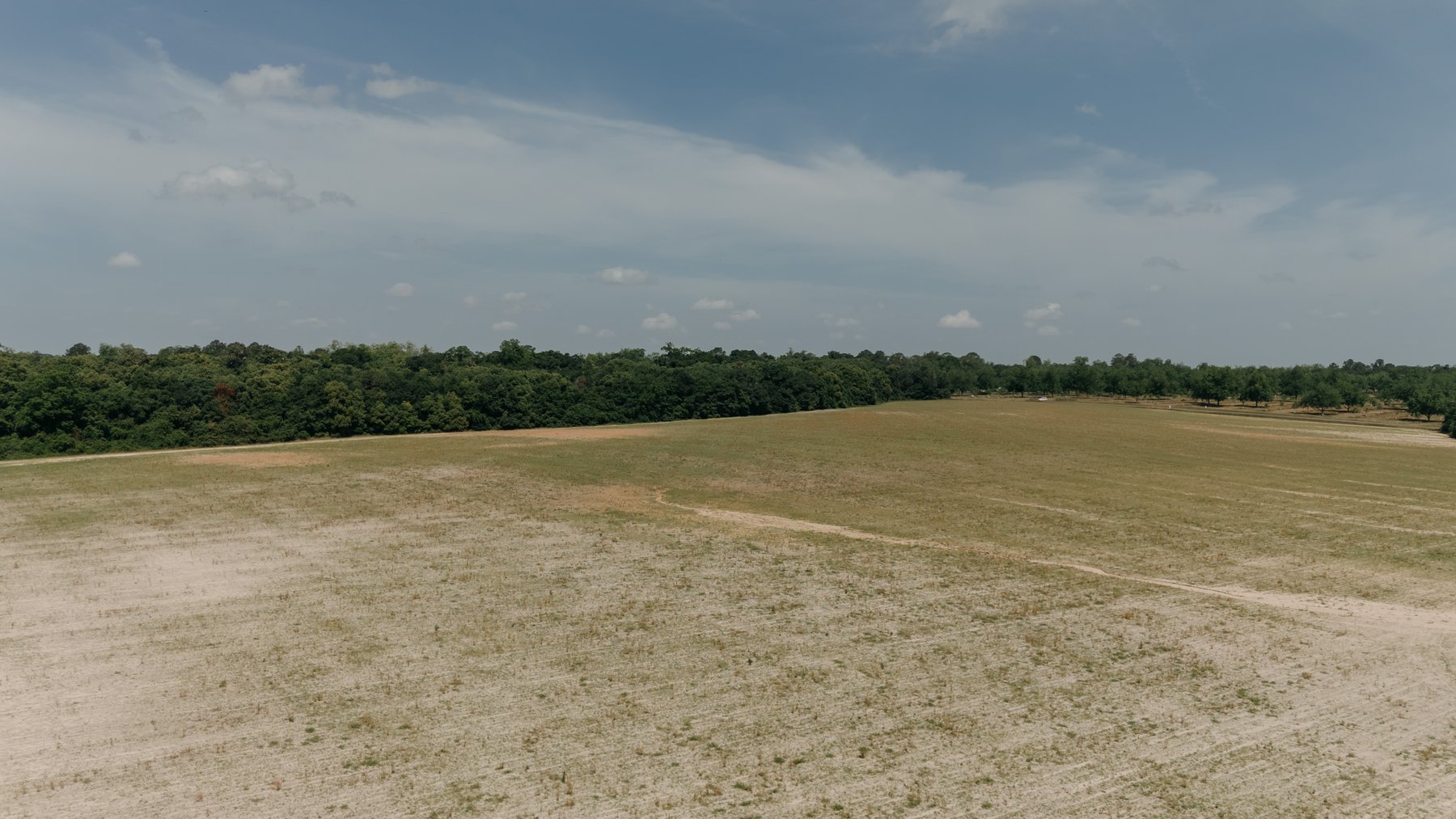 Image for 143 +/- Acre Investment Opportunity in Northern Thomas County, Georgia