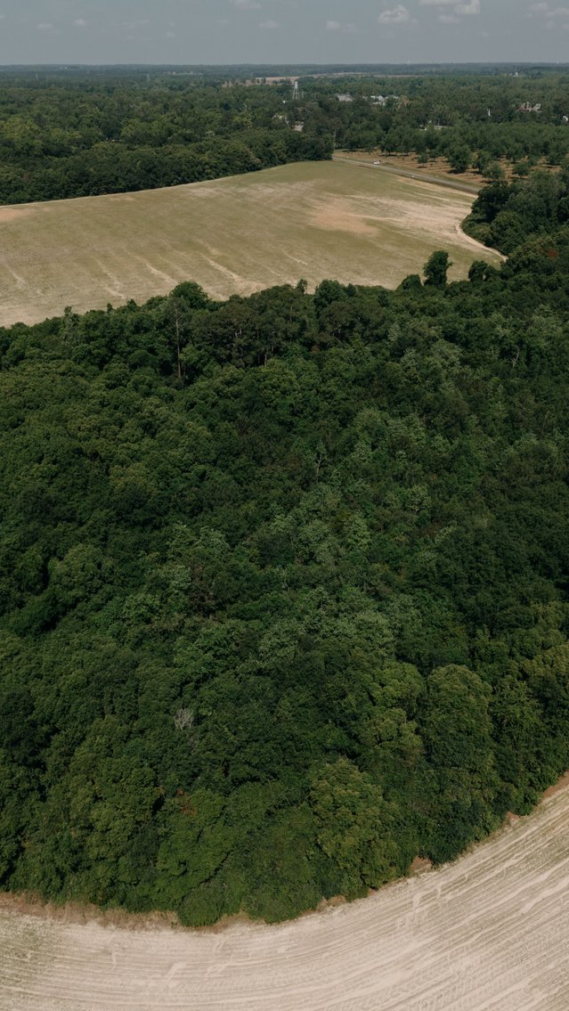 Image for 143 +/- Acre Investment Opportunity in Northern Thomas County, Georgia