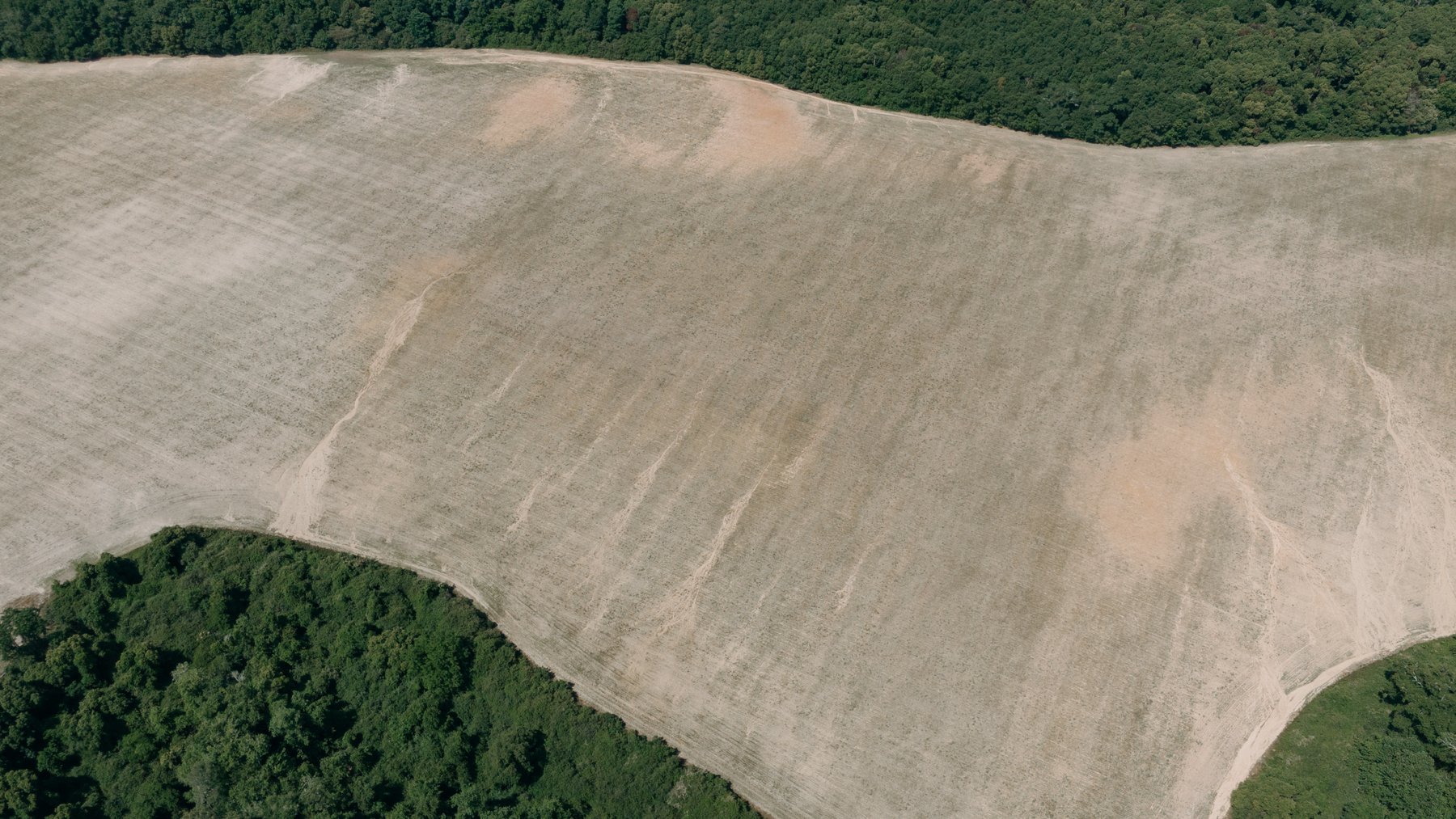 Image for 143 +/- Acre Investment Opportunity in Northern Thomas County, Georgia