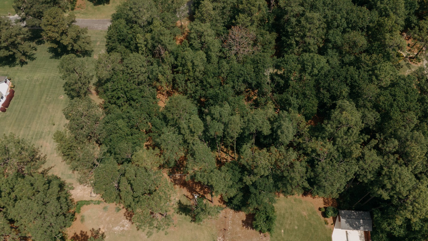 Image for *SOLD* 1.02 +/- Acres Lot #7 Montrose Subdivision