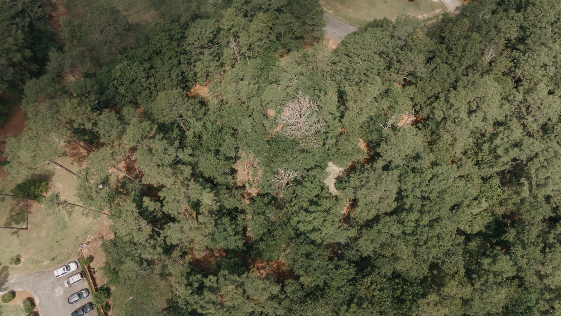 Image for *SOLD* 1.02 +/- Acres Lot #7 Montrose Subdivision