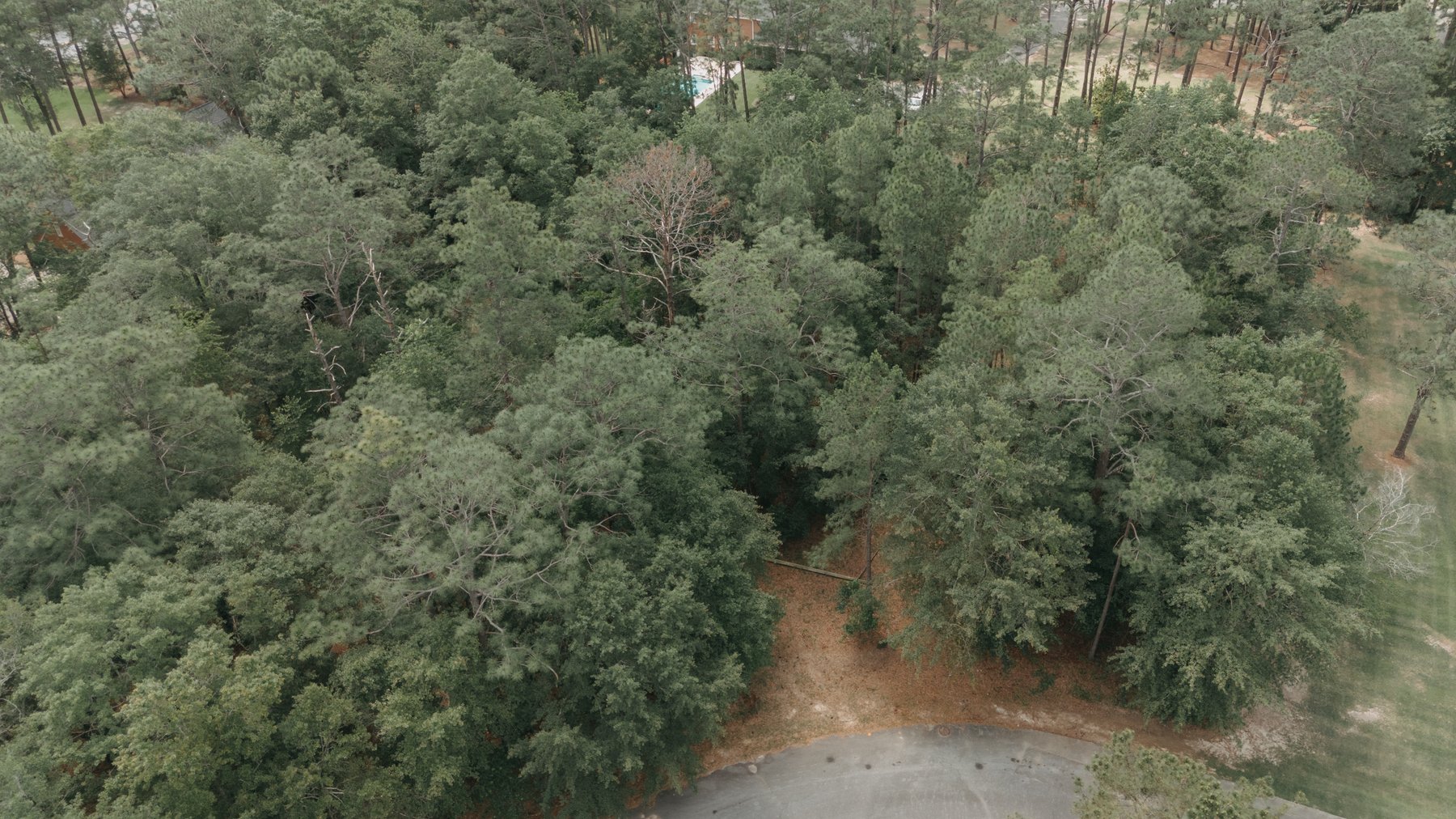 Image for *SOLD* 1.02 +/- Acres Lot #7 Montrose Subdivision