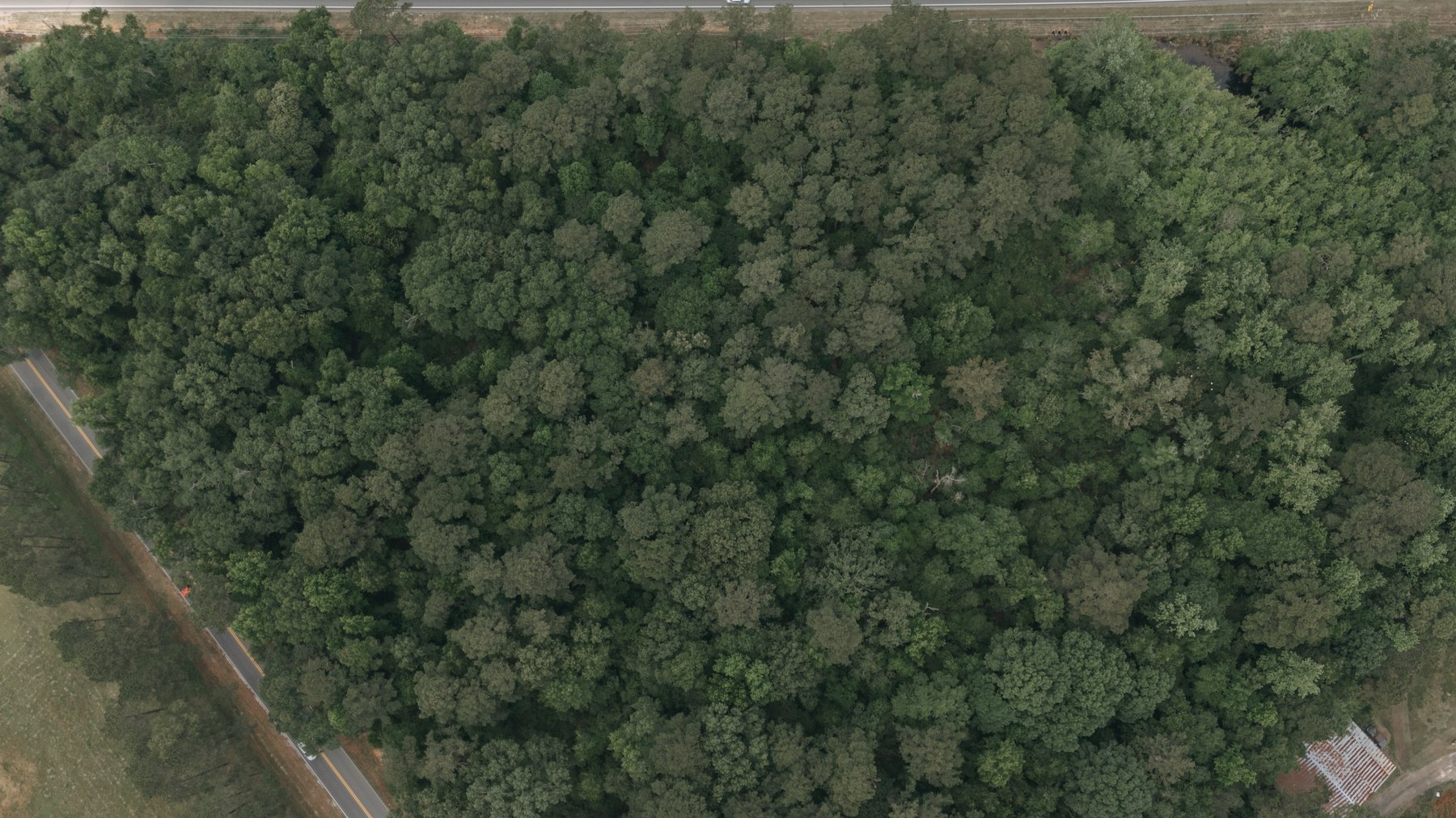 Image for 12 +/- Acres on US Highway 319 North