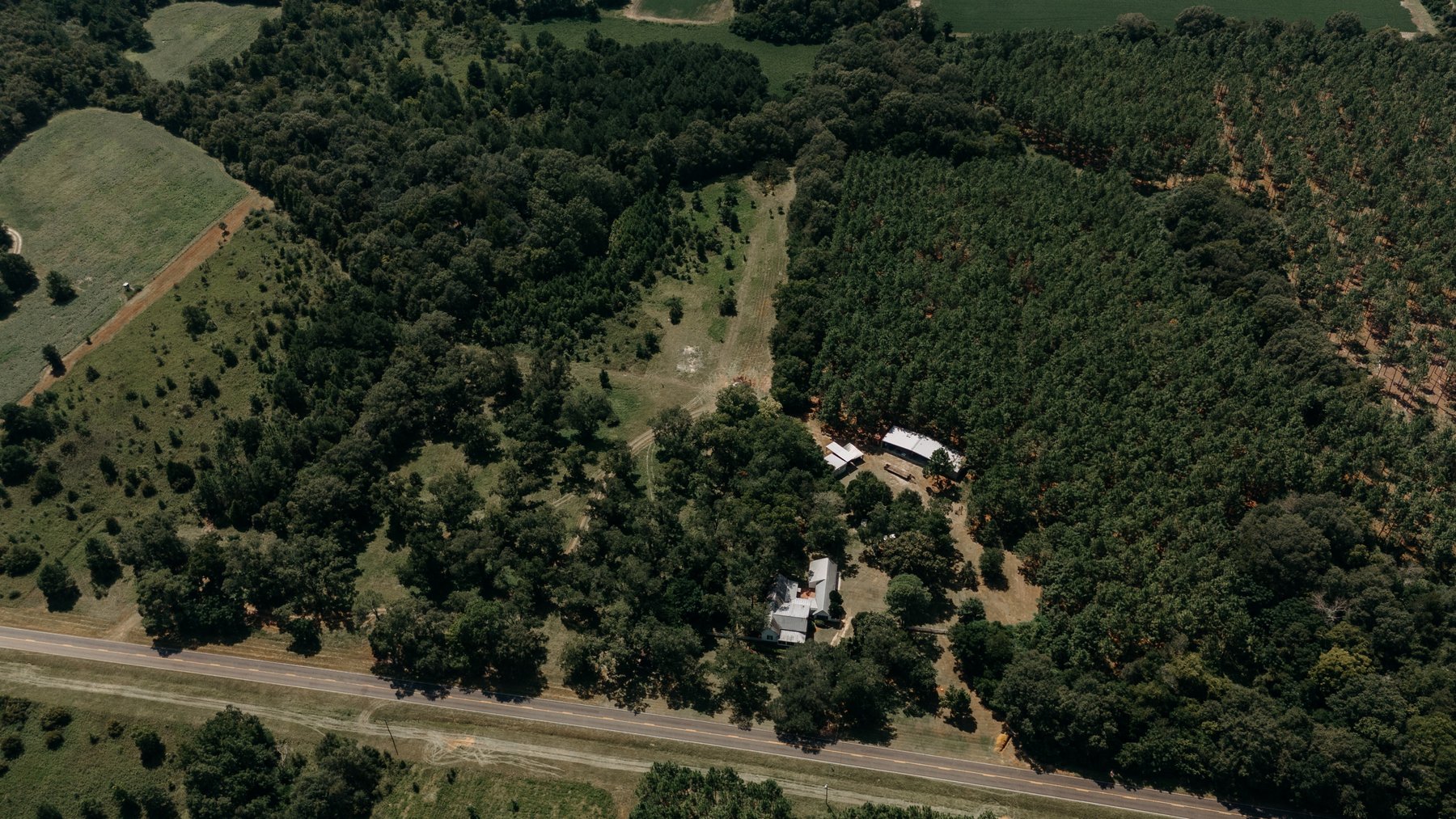 Image for 77.2 +/- Acre Sumter County Retreat: Restored Farmhouse, Hunting Land, and Timber Offered in Four Tracts