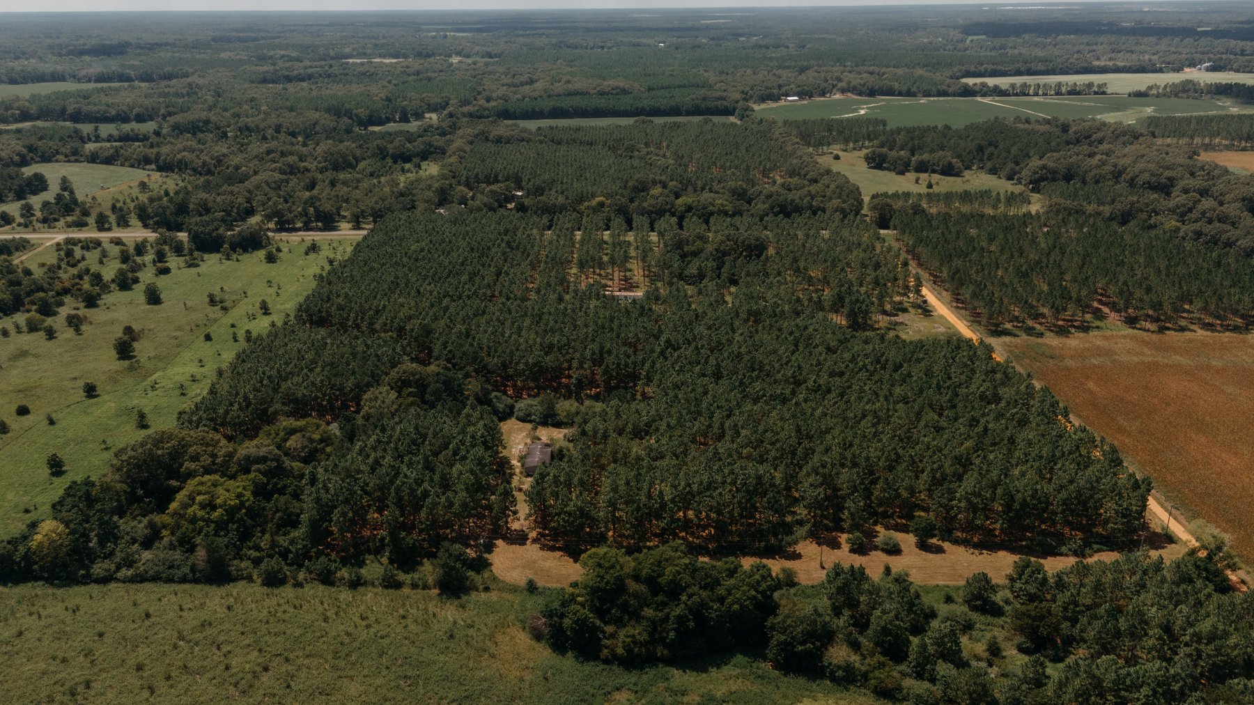 Image for 77.2 +/- Acre Sumter County Retreat: Restored Farmhouse, Hunting Land, and Timber Offered in Four Tracts