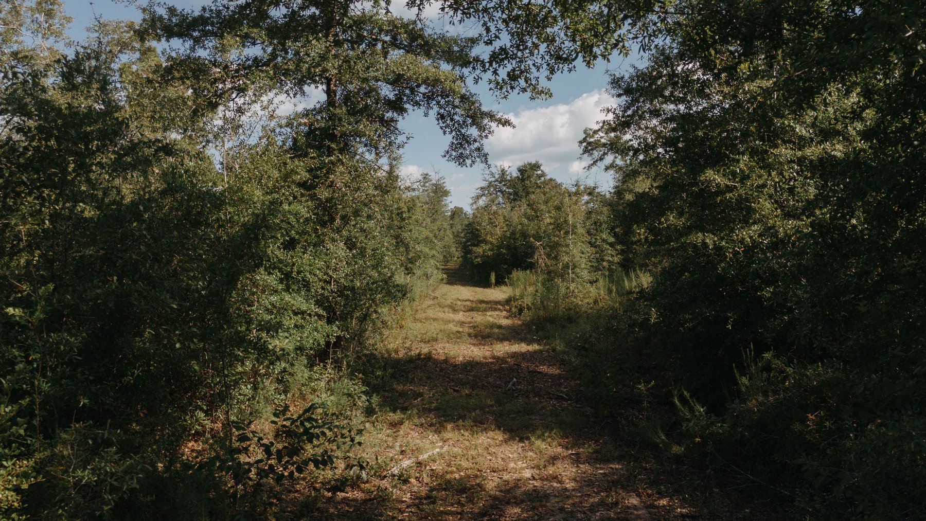 Image for 140.5 +/-  Acre Recreational Tract Jackson County, Florida