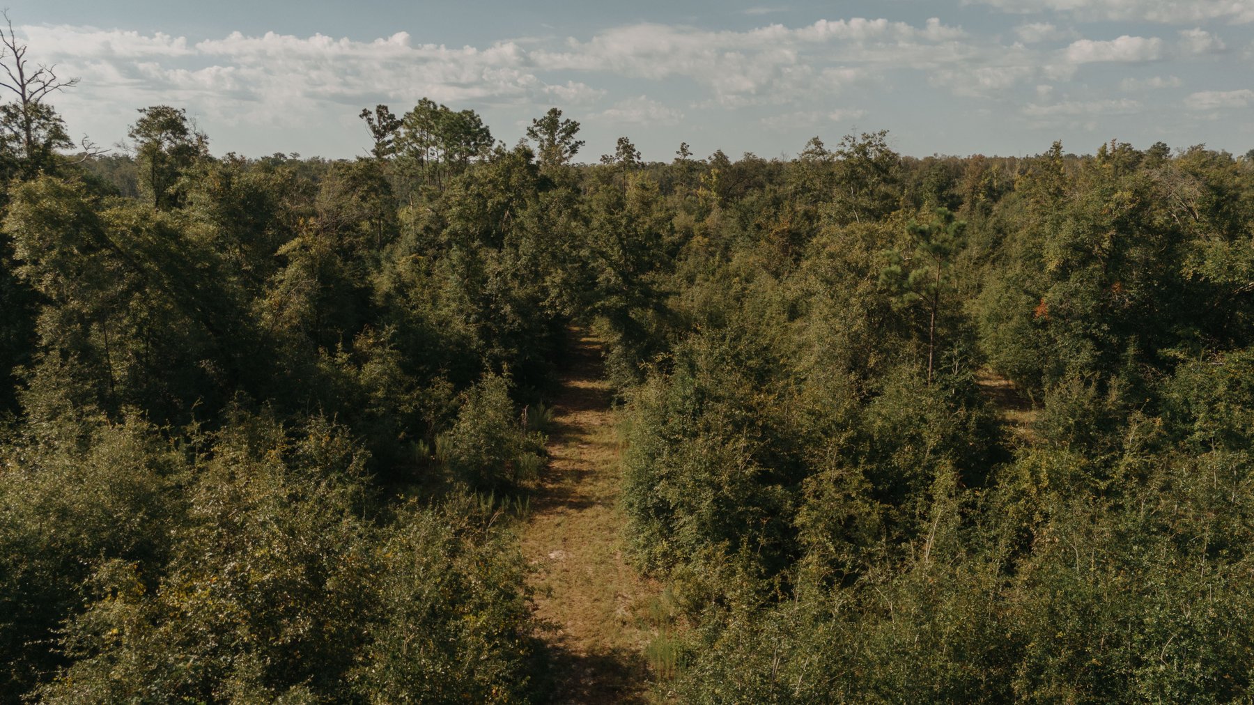 Image for 140.5 +/-  Acre Recreational Tract Jackson County, Florida