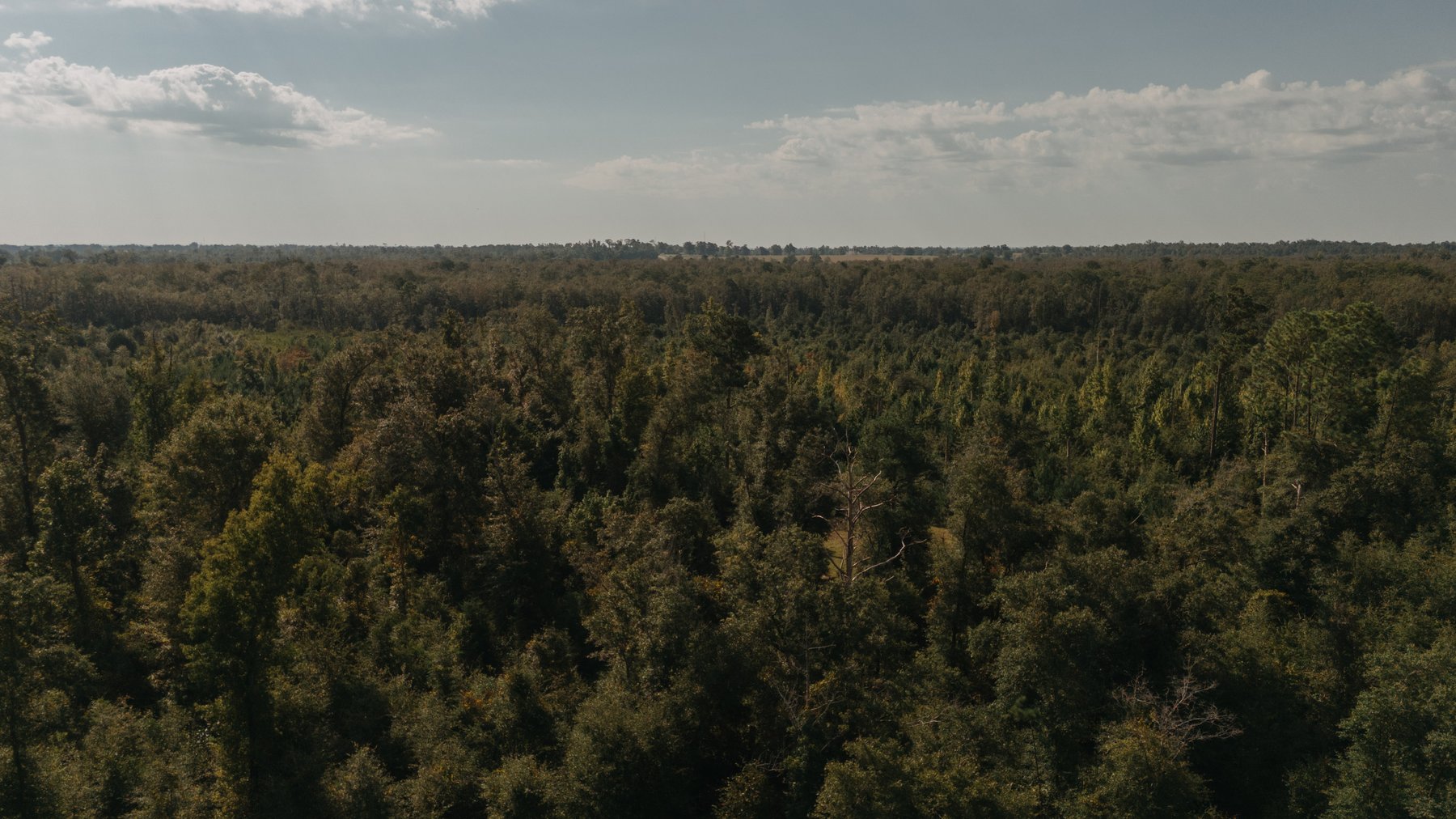 Image for 140.5 +/-  Acre Recreational Tract Jackson County, Florida