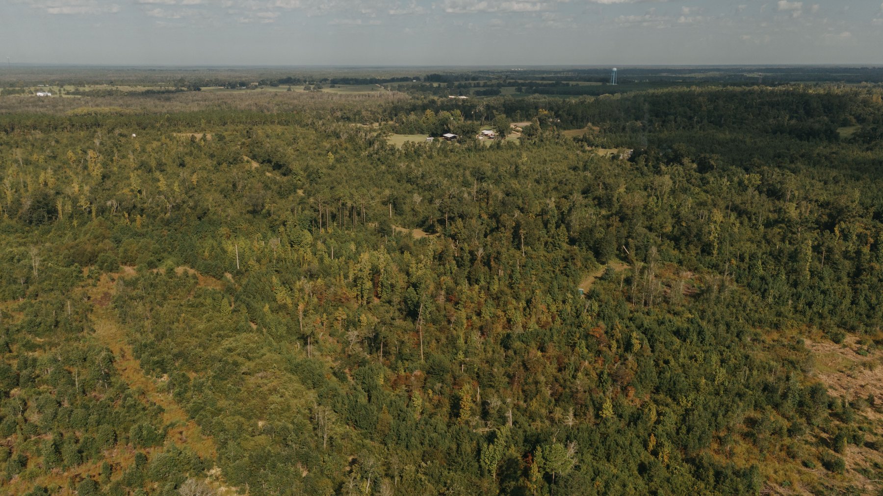 Image for 140.5 +/-  Acre Recreational Tract Jackson County, Florida