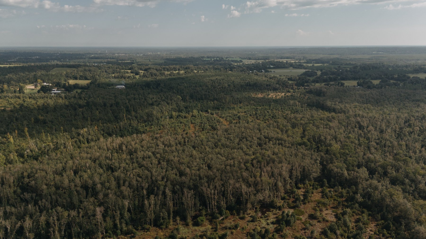 Image for 140.5 +/-  Acre Recreational Tract Jackson County, Florida