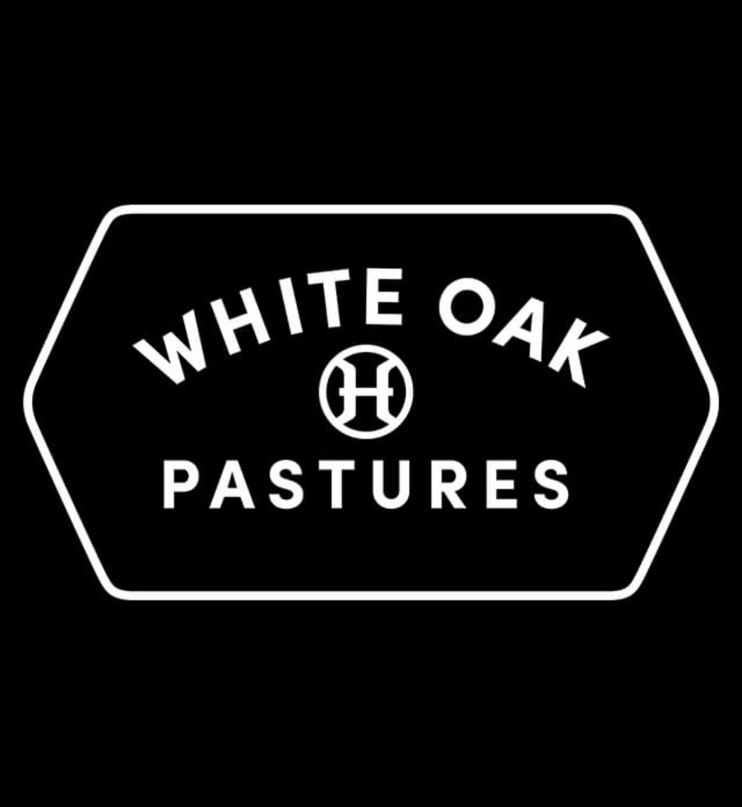 Image for 14th Annual Lives Without Limit Fundraiser