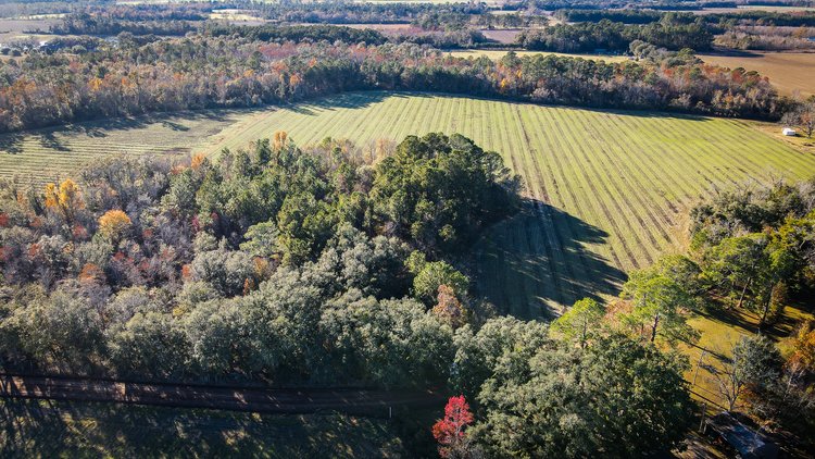 Image for *SOLD* Brooks County Hobby Farm *SOLD*
