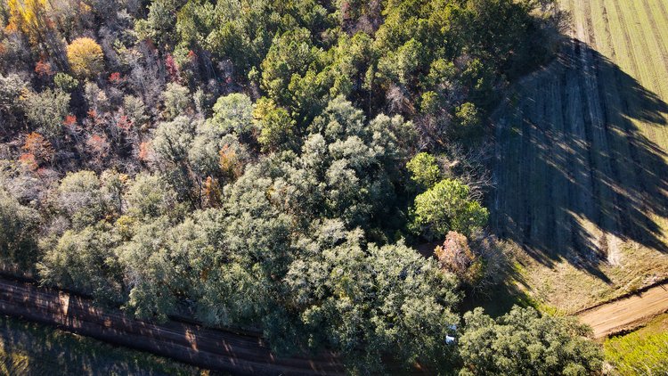 Image for *SOLD* Brooks County Hobby Farm *SOLD*