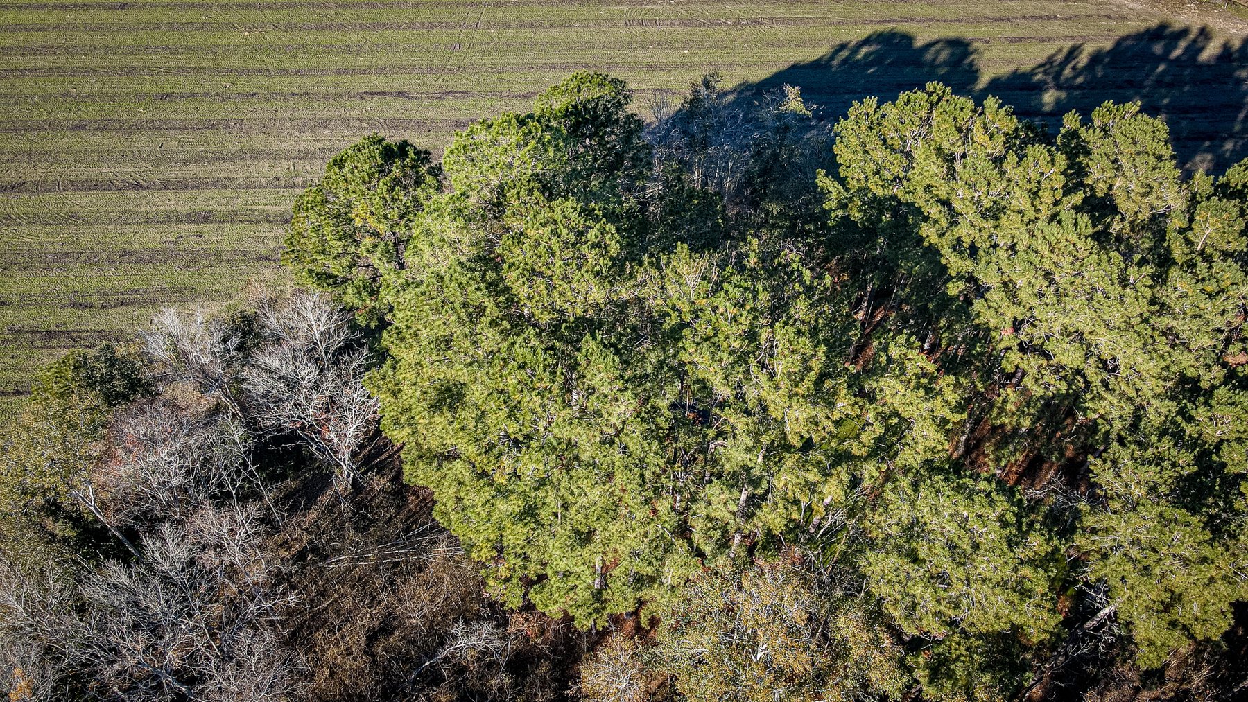 Image for *SOLD* Brooks County Hobby Farm *SOLD*